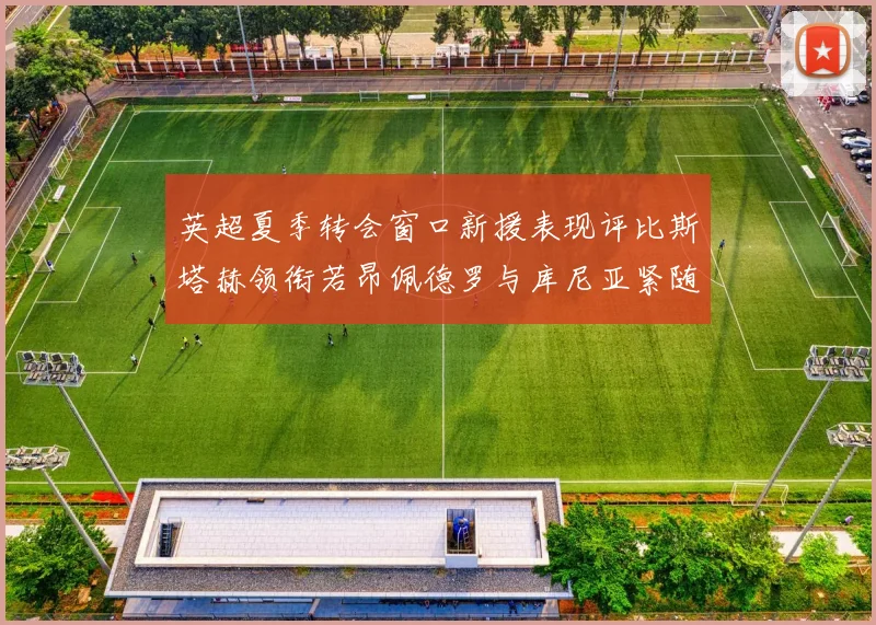 英超夏季转会窗口新援表现评比斯塔赫领衔若昂佩德罗与库尼亚紧随其后