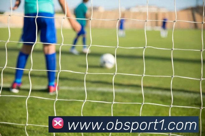 OB体育APP 封面图